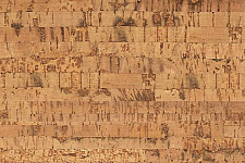 Пробковое напольное покрытие CorkStyle ECOCORK Linea клеевая