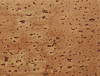 Плинтус шпонированный Pedross 58x20 Пробка рустик