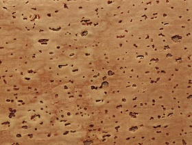 Плинтус шпонированный Pedross 40x22 Пробка рустик